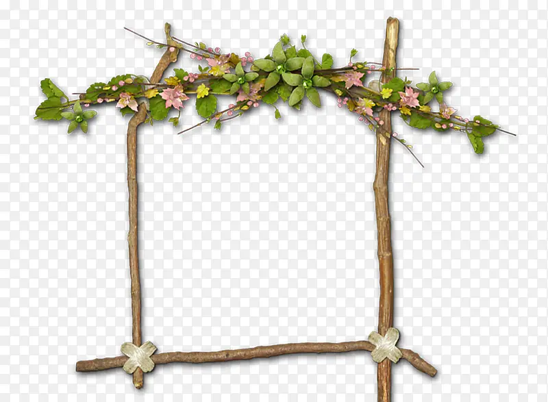 树枝花瓣边框