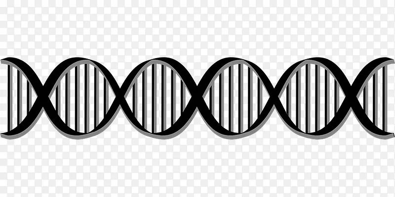 卡通DNA结构图png