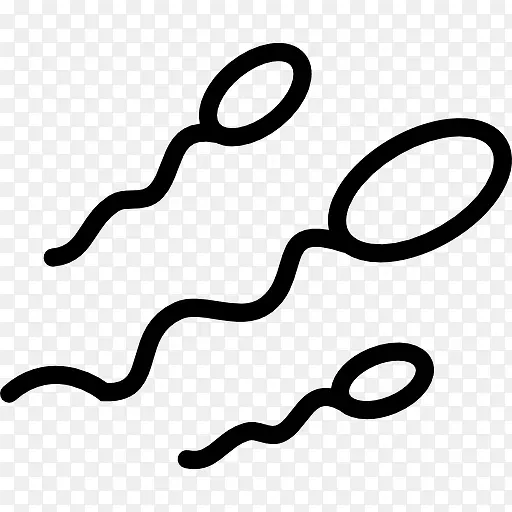 Sperm 图标