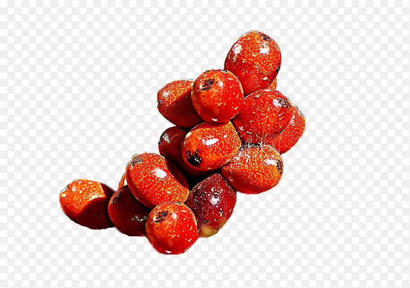 几颗火红的棕榈果果子