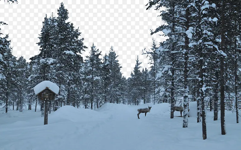 芬兰雪景八