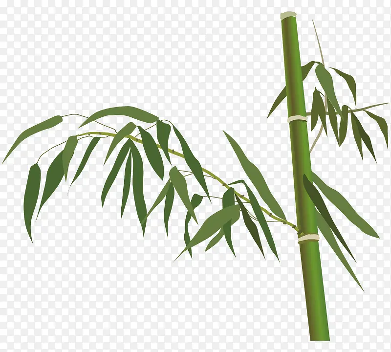 一棵竹子卡通图案