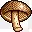 香菇蘑菇铁厨师