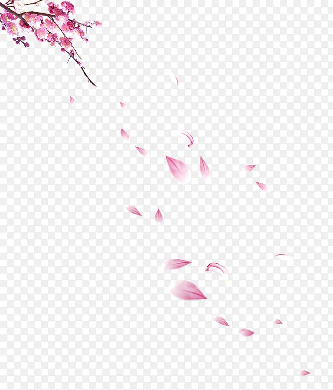 飘落的花瓣