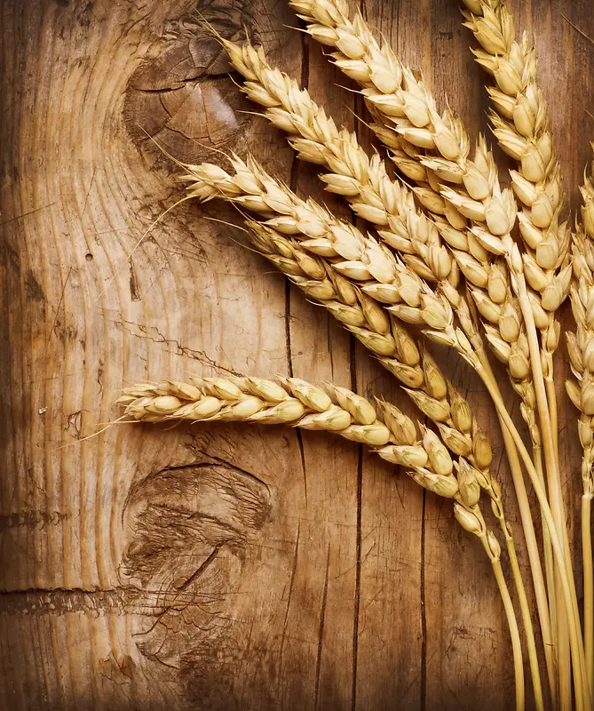 小麦与木板