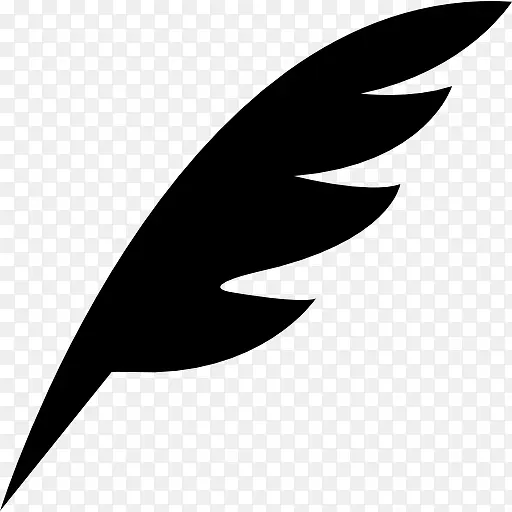 笔羽毛黑色对角形状的鸟翅图标