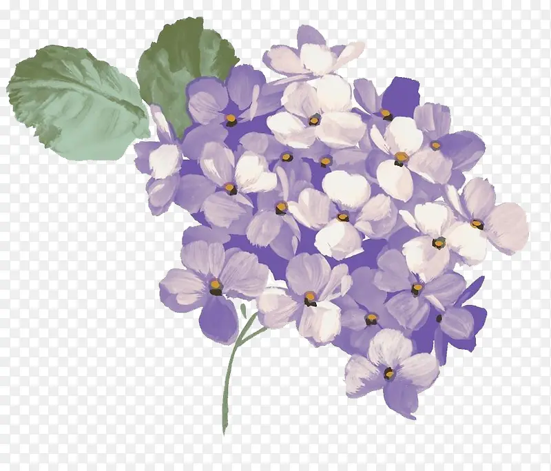 手绘紫薇花