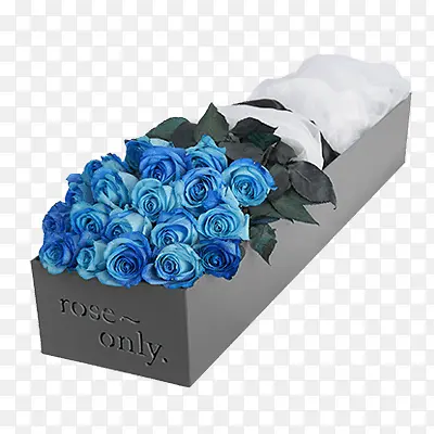 蓝色妖姬玫瑰礼盒