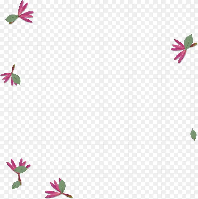 飞翔的小花和叶子