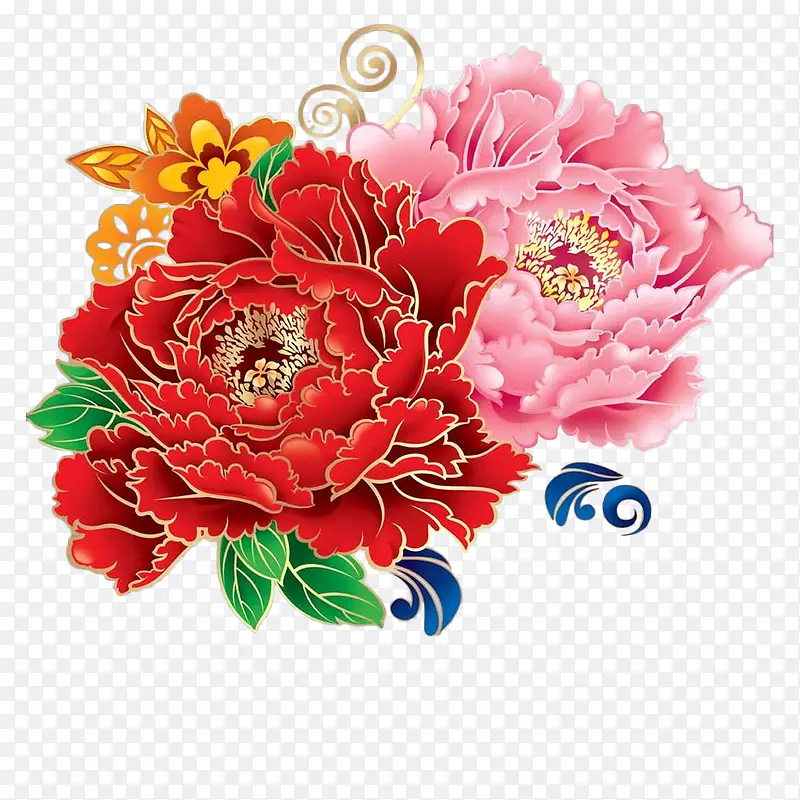 两朵金边牡丹