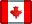 加拿大国旗142个小乡村旗