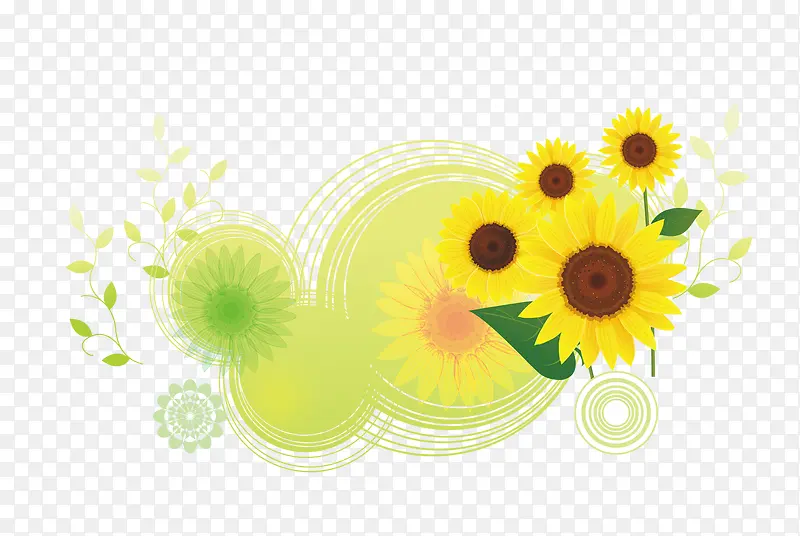 卡通圆形半透明底太阳花向日葵花