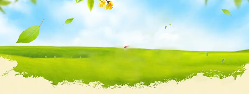 秋天落叶草坪背景banner