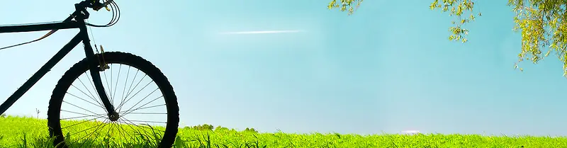 秋天背景banner