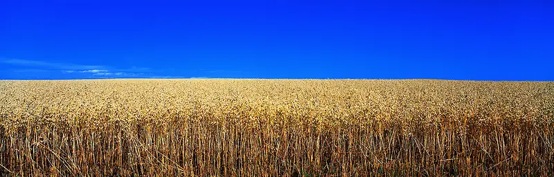 唯美风景拍摄背景图