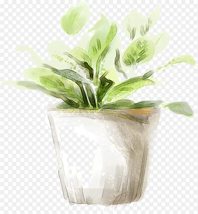 手绘室内绿色植物装饰PNG图片素材下载_图片编号qbaglnpa-免抠素材网