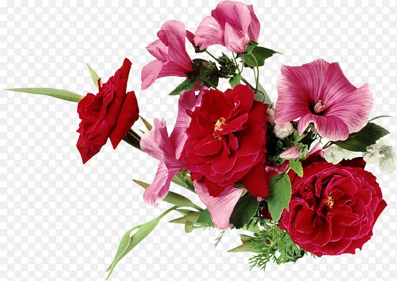 玫瑰花喇叭花