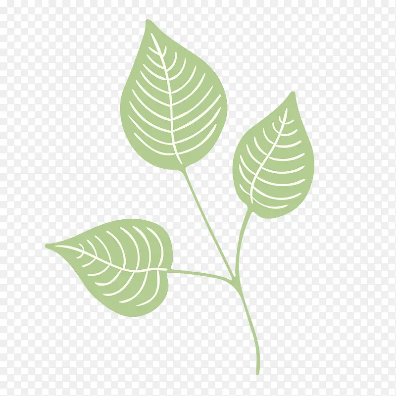 绿色卡通树叶植物纹理