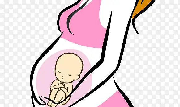 怀着胎儿的孕妈妈卡通画