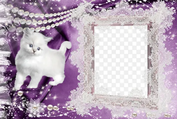 卡通紫色相框白色波斯猫