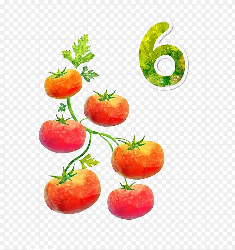 6个西红柿