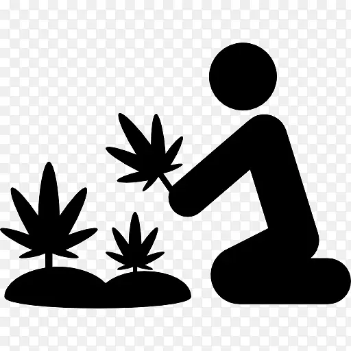 大麻植物图标