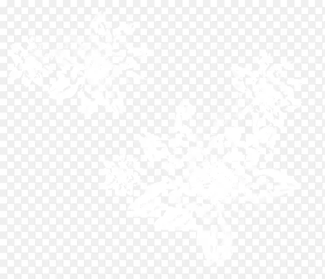 冰花