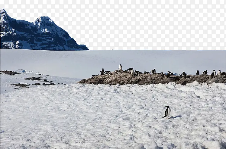 南极风景图