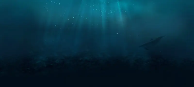 蓝色海水深海下的动物