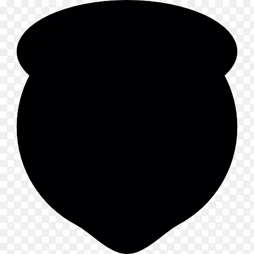 圆形的黑色的盾牌图标