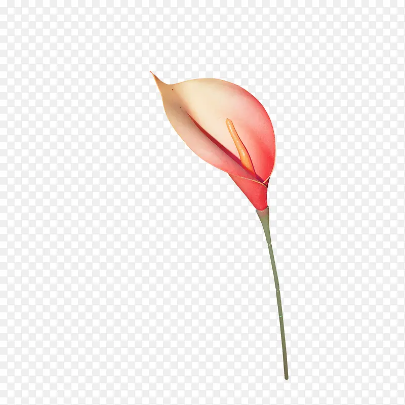 一片小红花