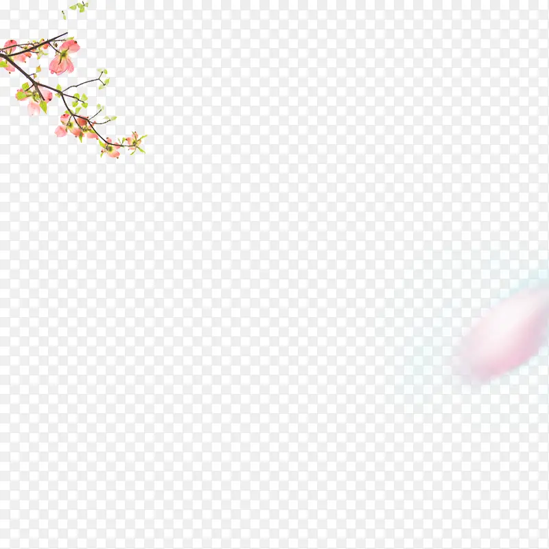 梅花花瓣装饰