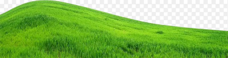 远景绿色草坪图片