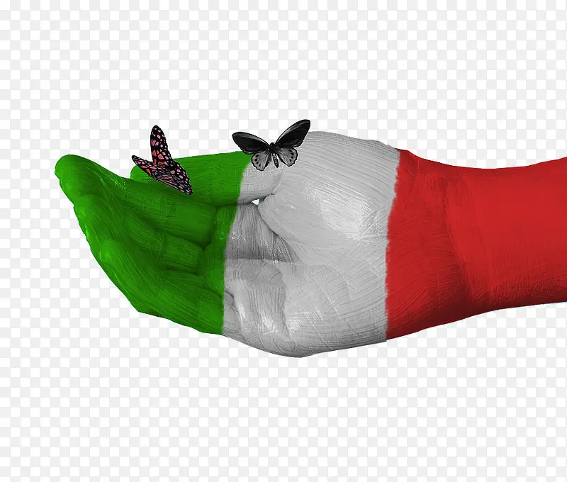 意大利国旗手绘蝴蝶