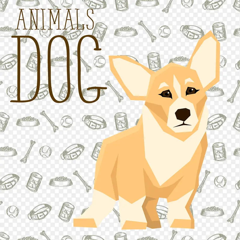 可爱的小型葡萄牙波登可犬