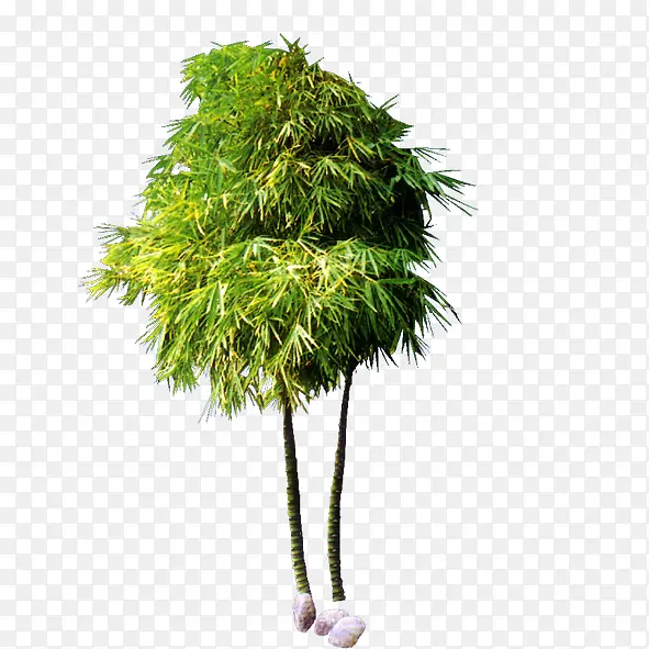 绿色植物PNG图片素材下载_图片编号yxjdvwwg-免抠素材网