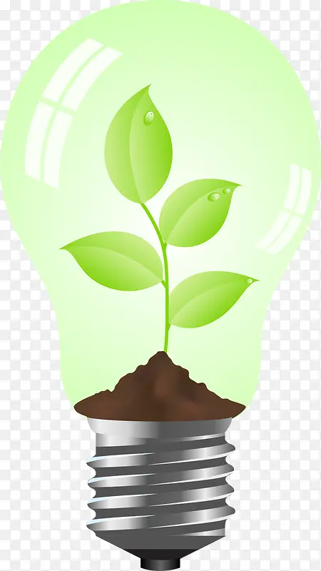 绿色能量罩植物树叶苗