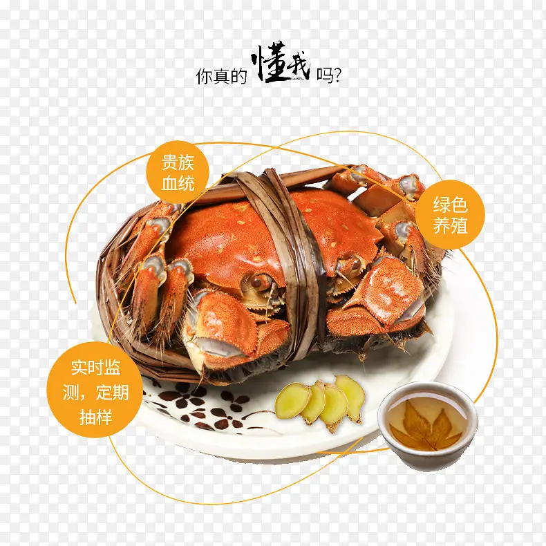 大闸蟹美食