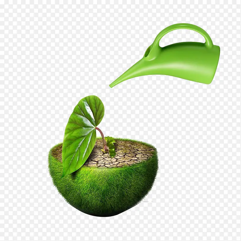 浇灌球上的植物-低碳环保植树造