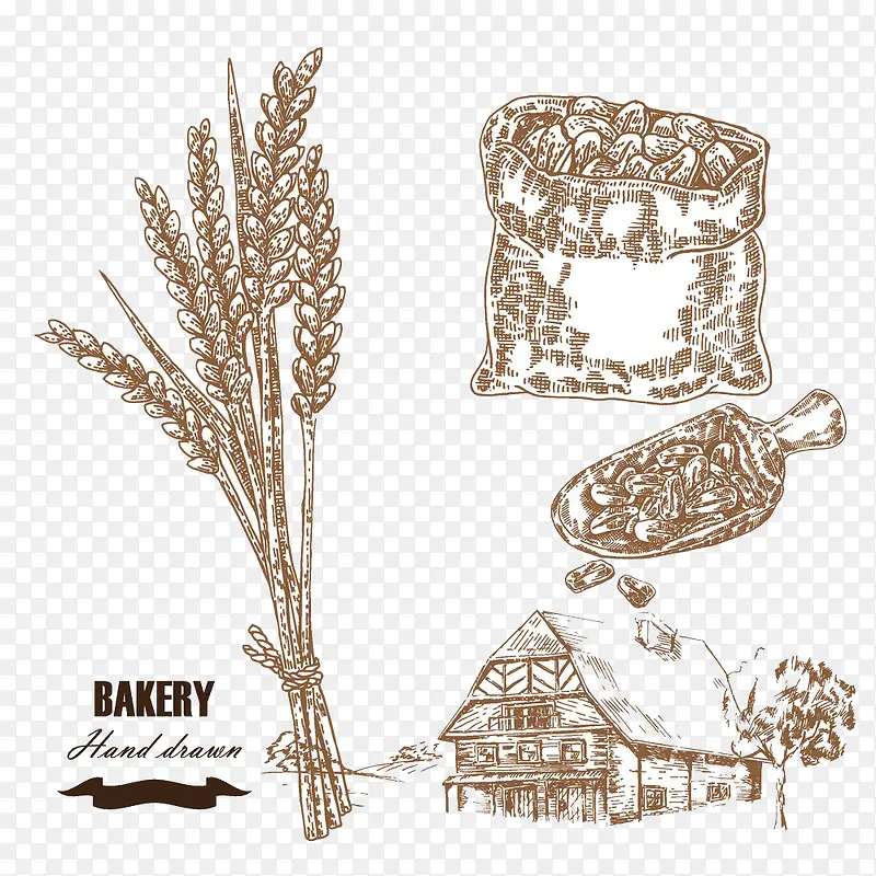 农场麦穗插画图片