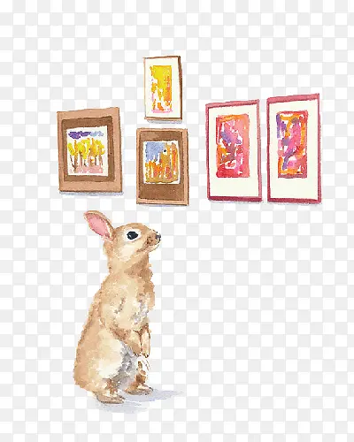 欣赏画的兔子