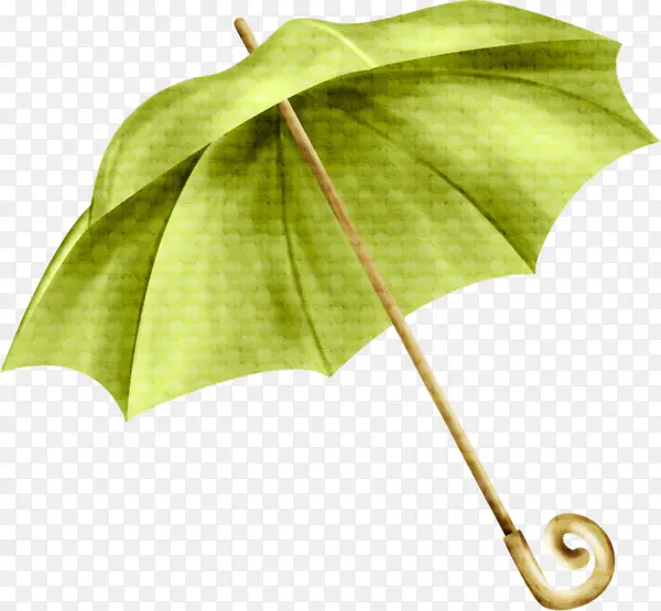 田园风雨伞