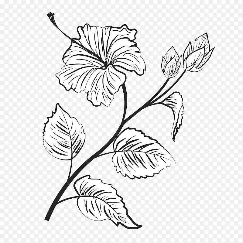 手绘插图树枝叶花朵