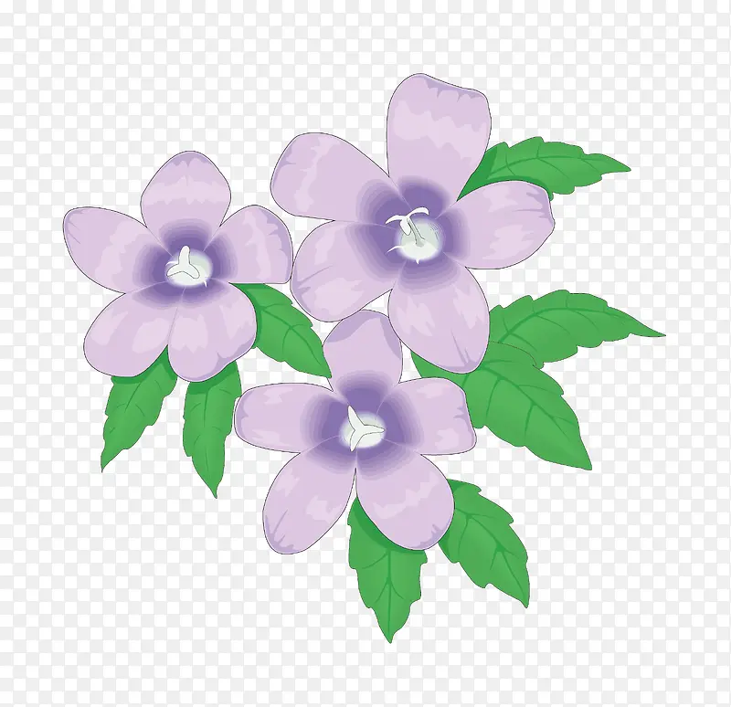 紫色的花花