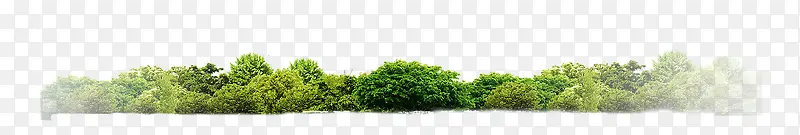 远景清新茂密树林