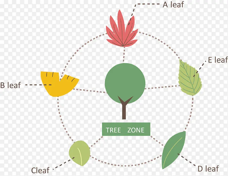 树叶类型说明图