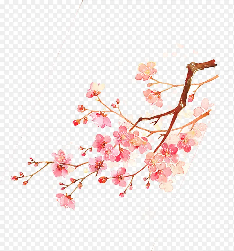 粉色树枝上的桃花