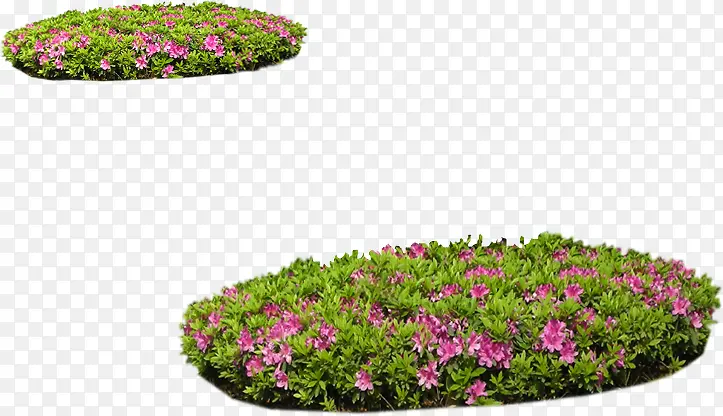 粉色小花景观草坪装饰