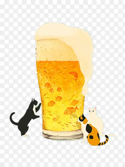 啤酒与猫