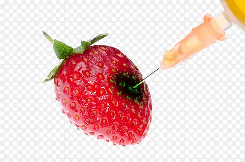 转基因草莓